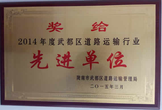 2014年武都區(qū)道路運(yùn)輸行業(yè)先進(jìn)單位